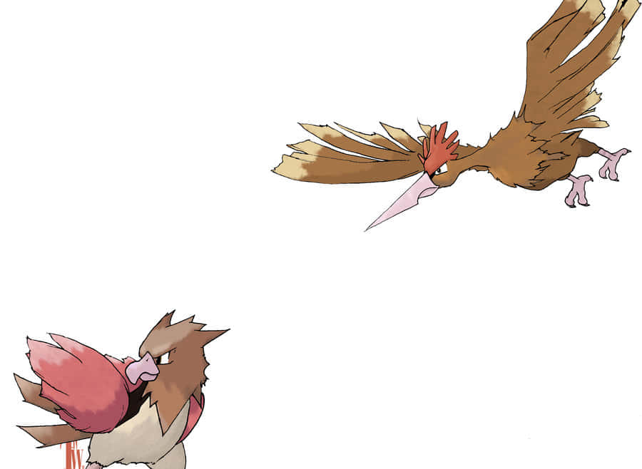Spearow And Fearow Plain White