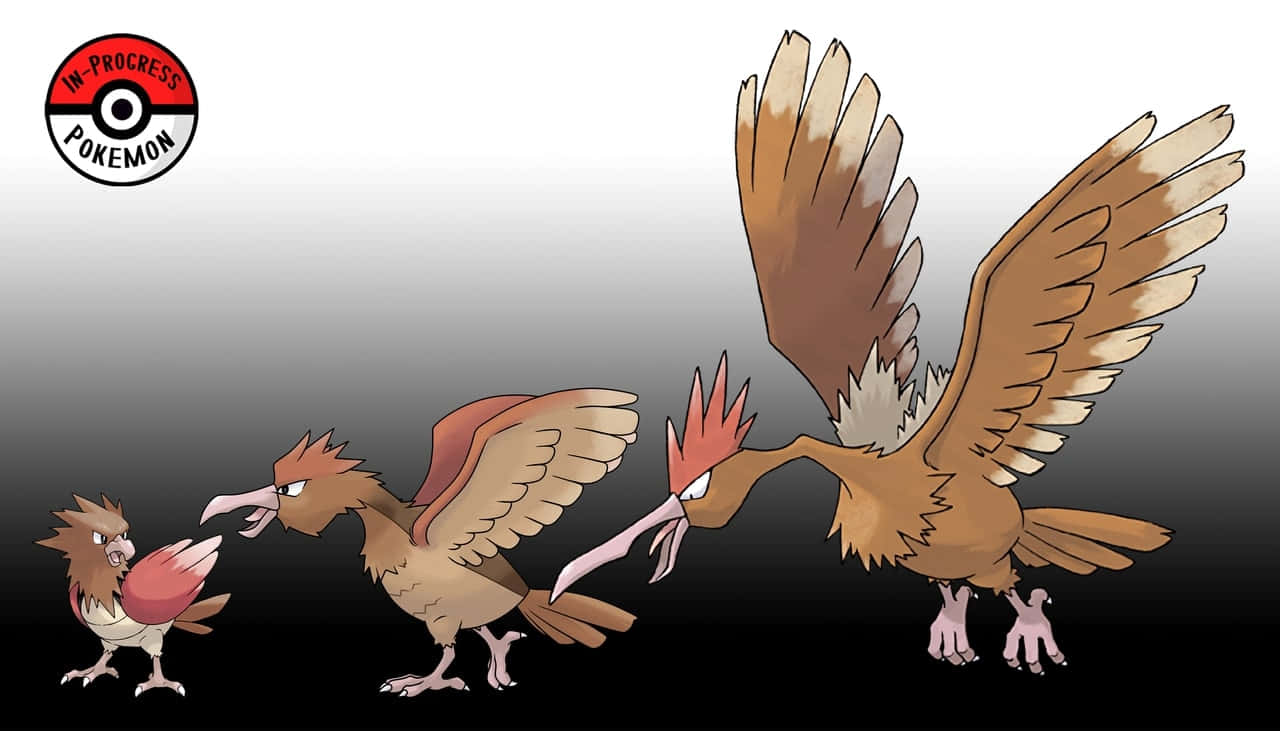 Spearow Pokemon Evolution Background