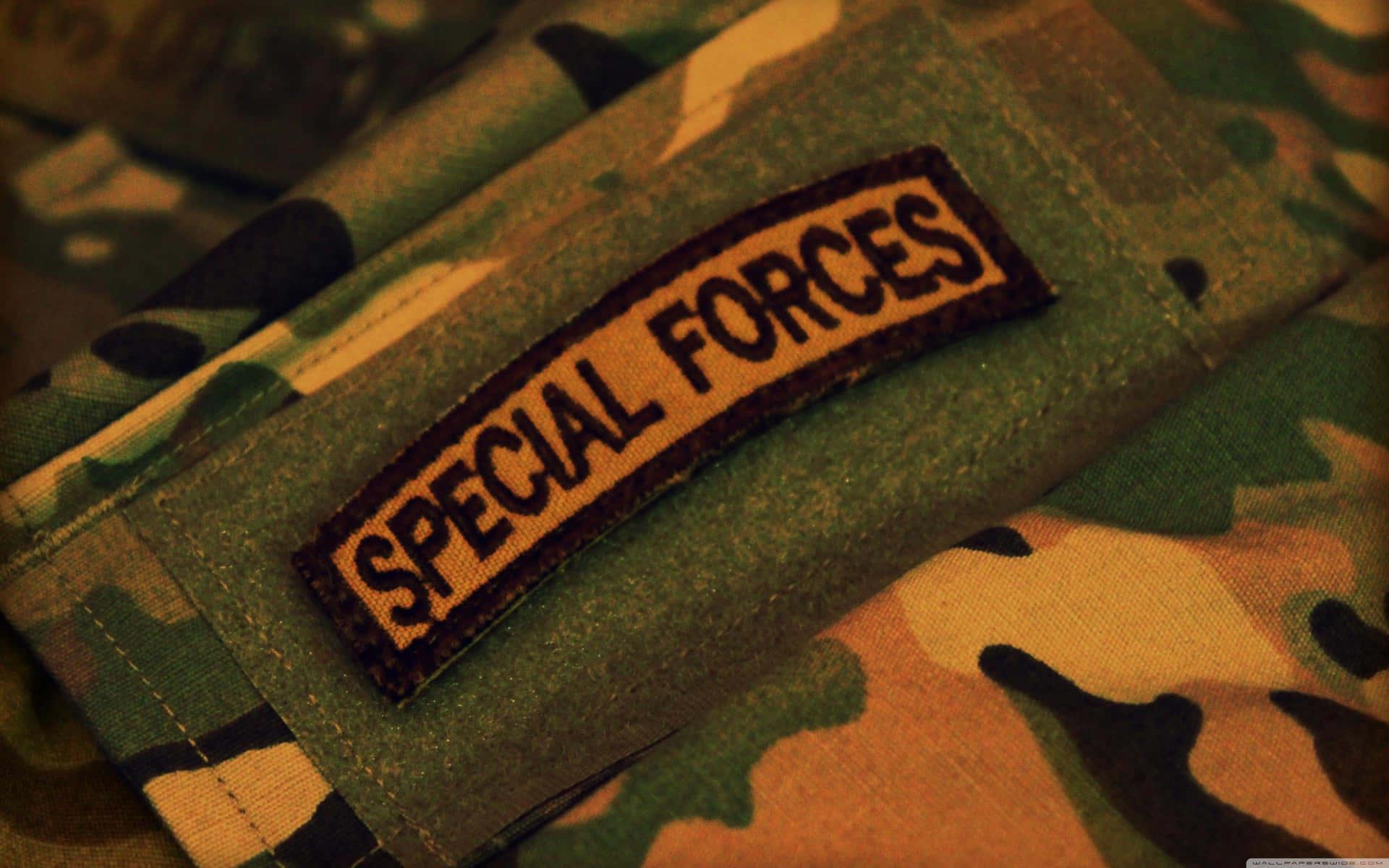 Special Forces Logo Background