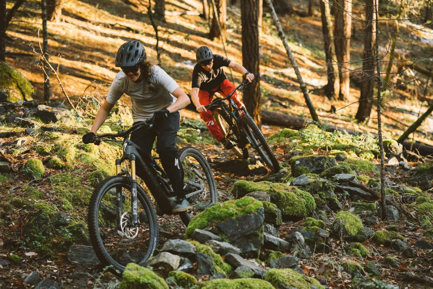 Specialized Mountain Bike - Championing The Outdoors Background
