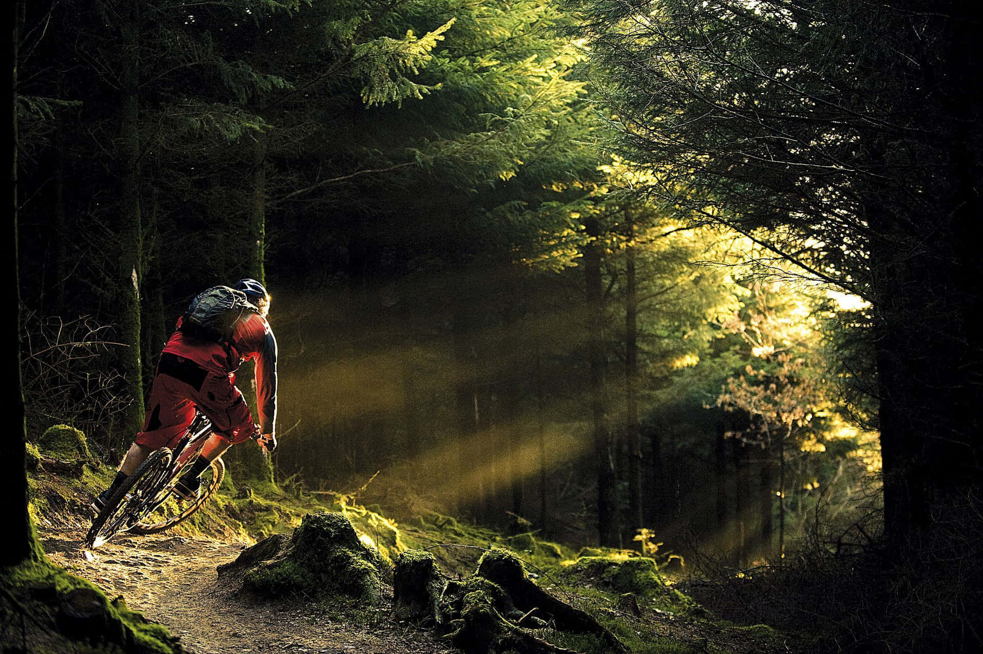 Specialized Mountain Bike Inside The Forest Background