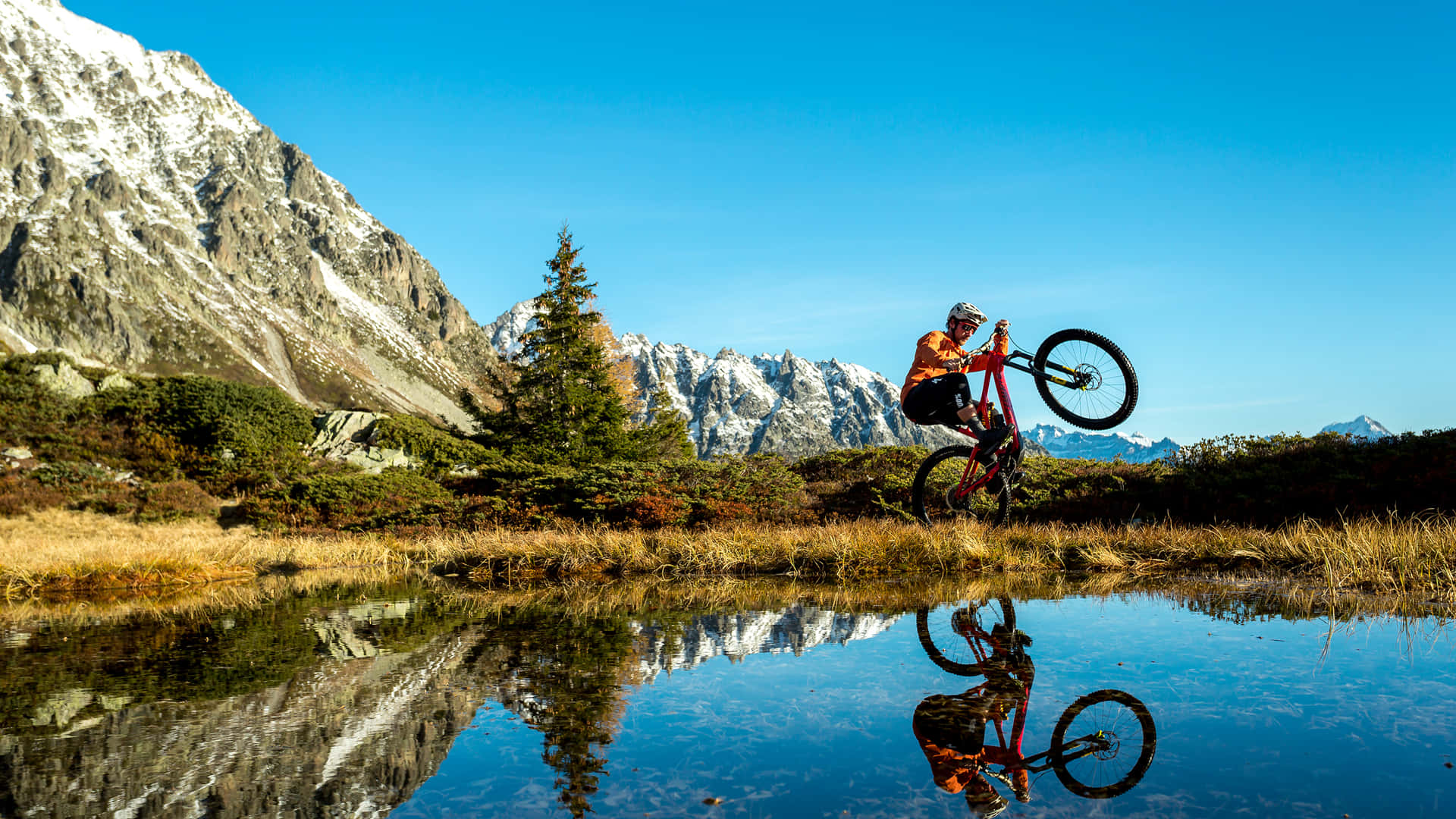 Specialized Mountain Bike Parkour Background