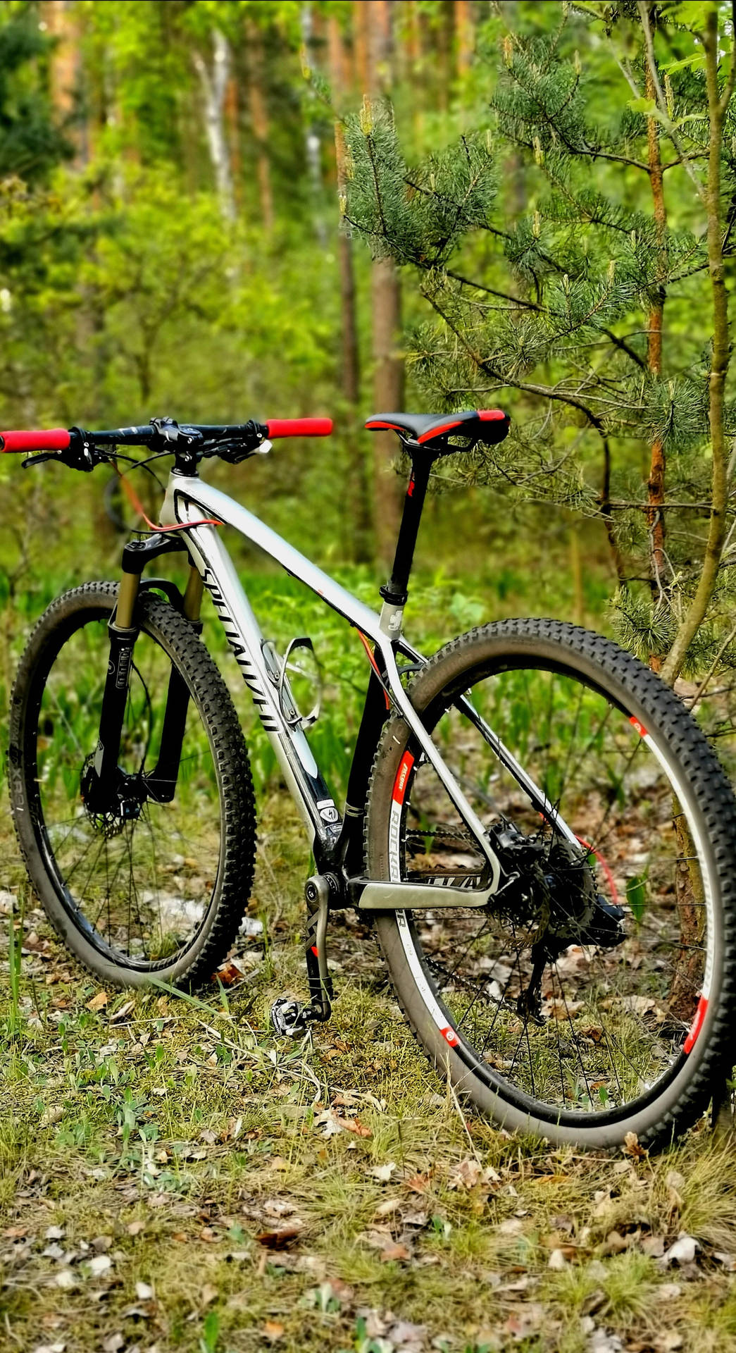 Specialized Silver Mountain Bike Background