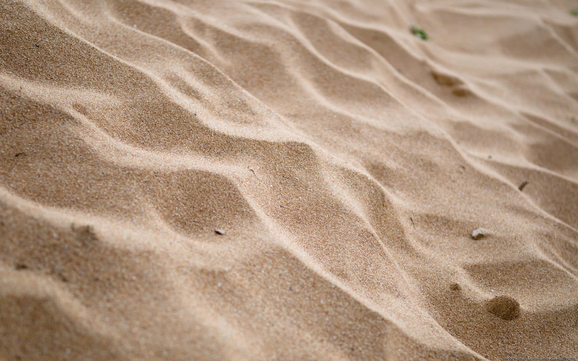 Specks On Sand Background