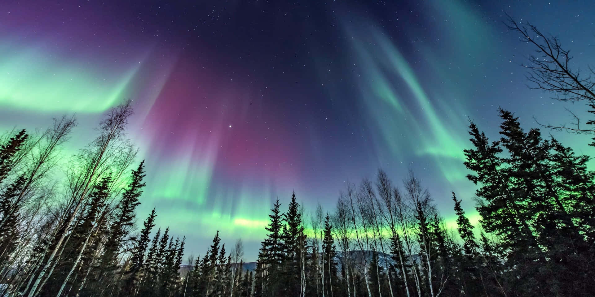 Spectacular Aurora Borealis In A Starry Night Sky Background