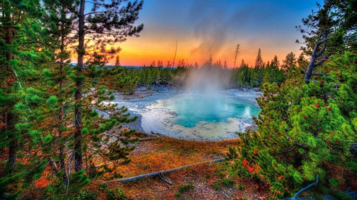 Spectacular Yellowstone Spring Season Background