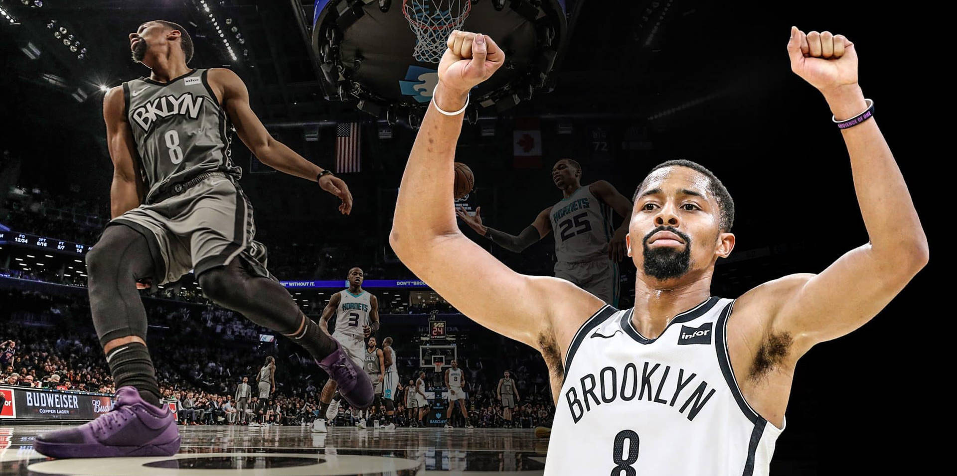 Spencer Dinwiddie Victory Pose Background