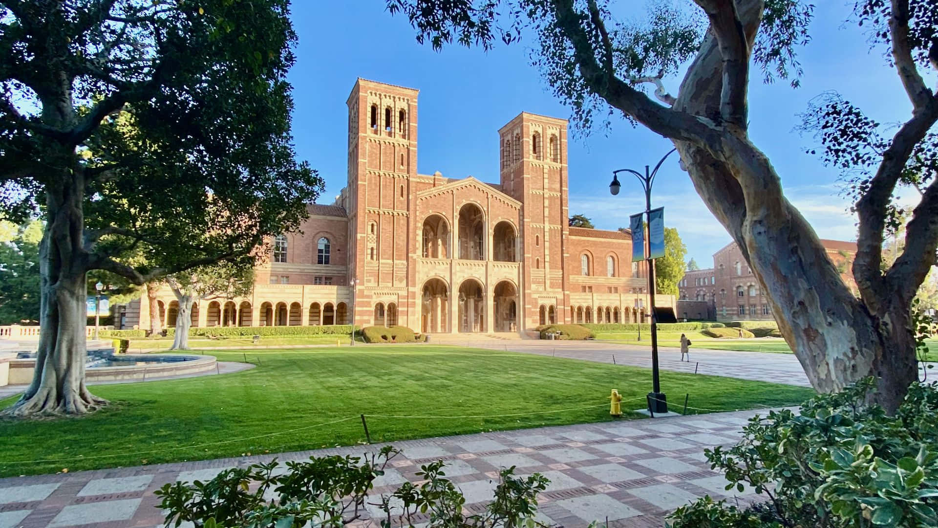 Spend Your Mornings Walking Through Ucla's Stunning Campus Background