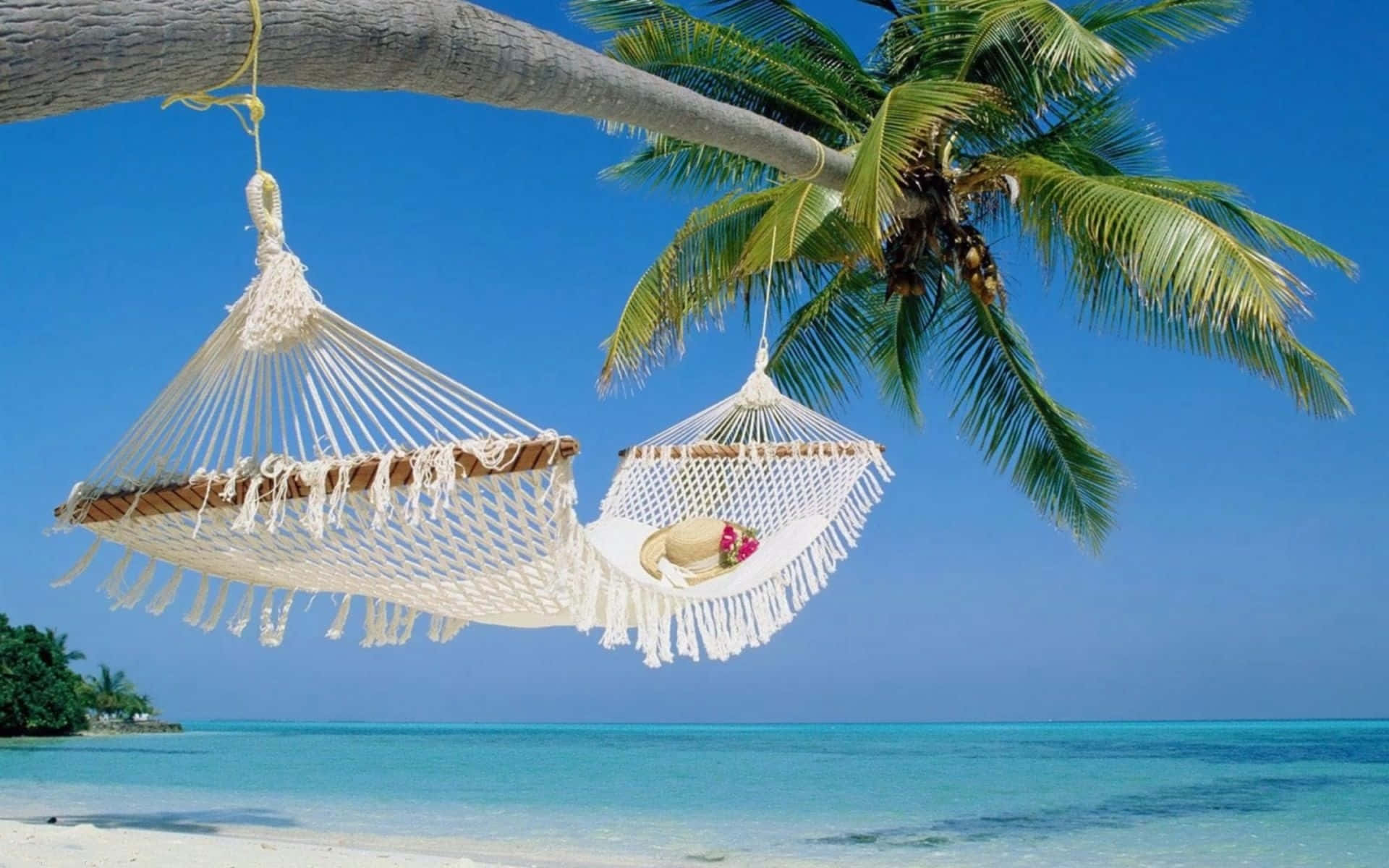 Spend Your Summer Vacation At The Beach Background