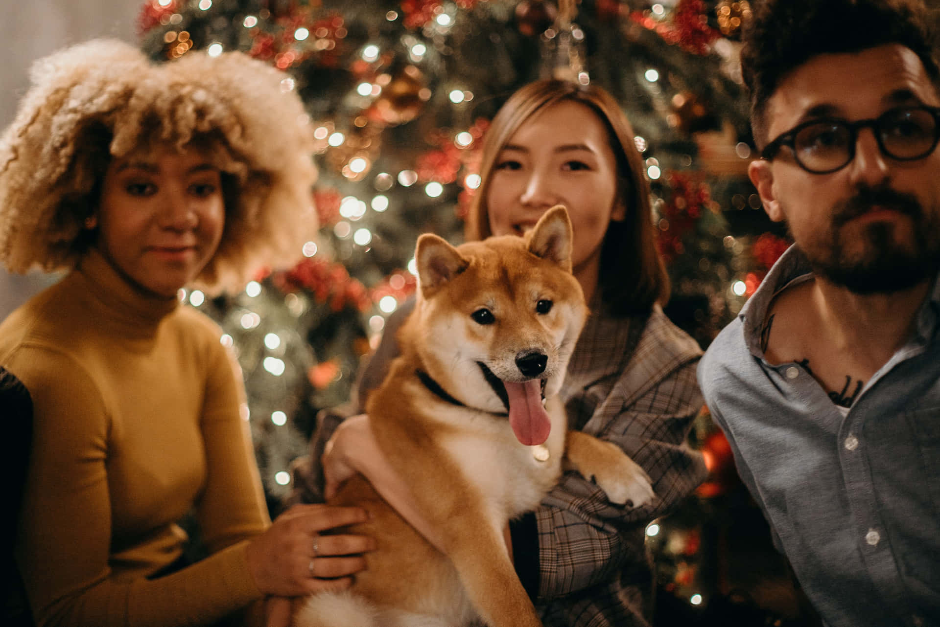 Spending Christmas Dog And Family Background