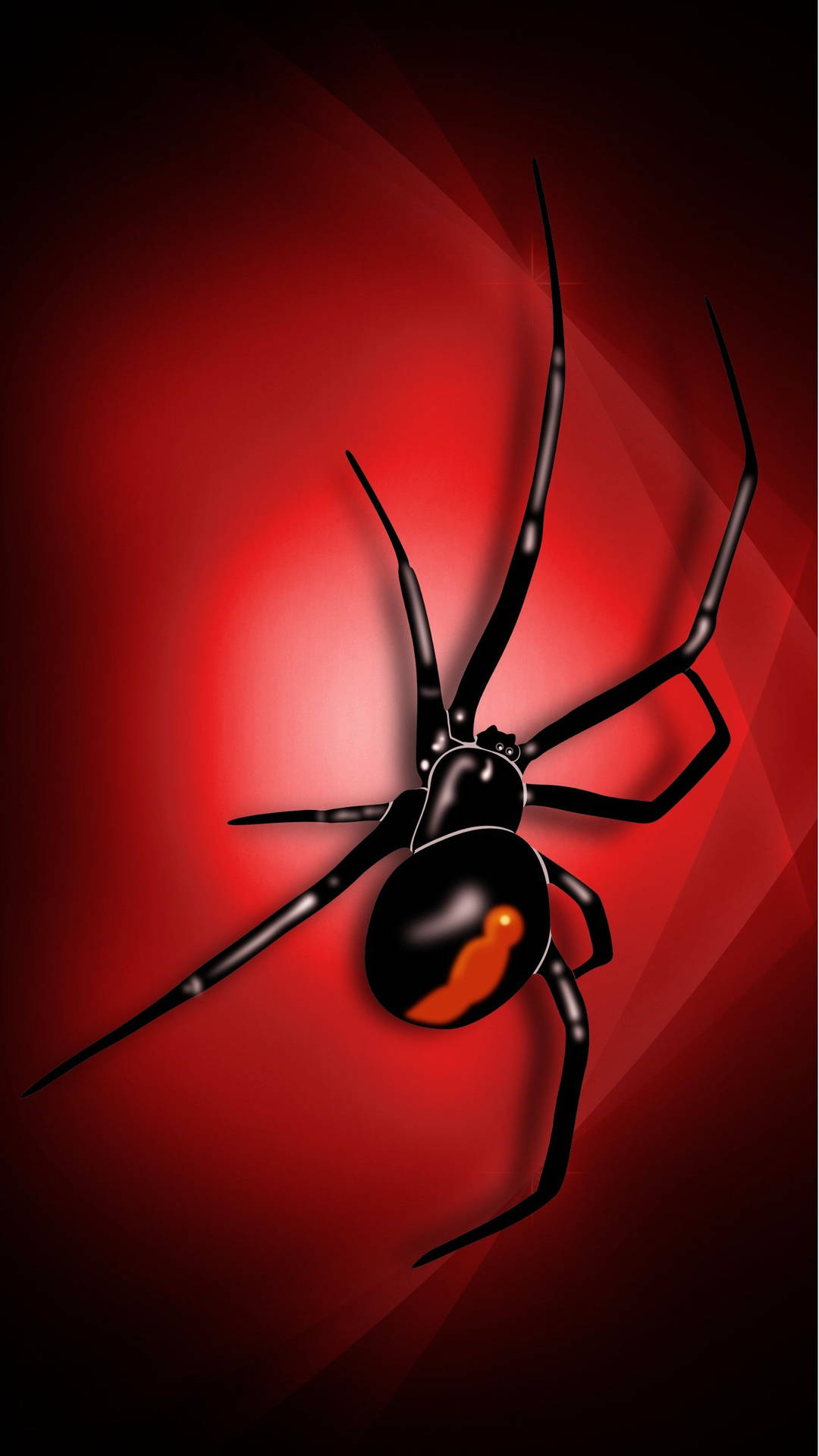 Spider Black Widow Digital Art Background
