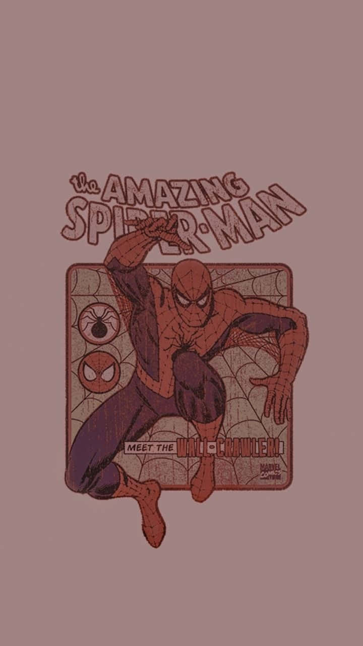 Spider Man Aesthetic Amazing Spider Man