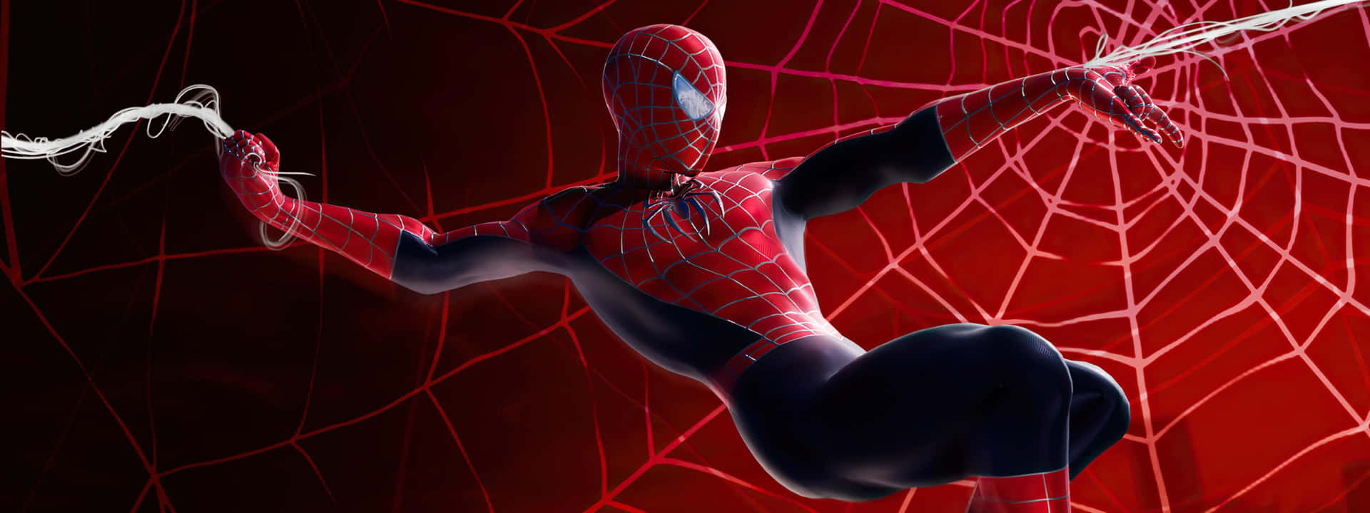 Spider Man Into The Spider Web Wallpaper Background