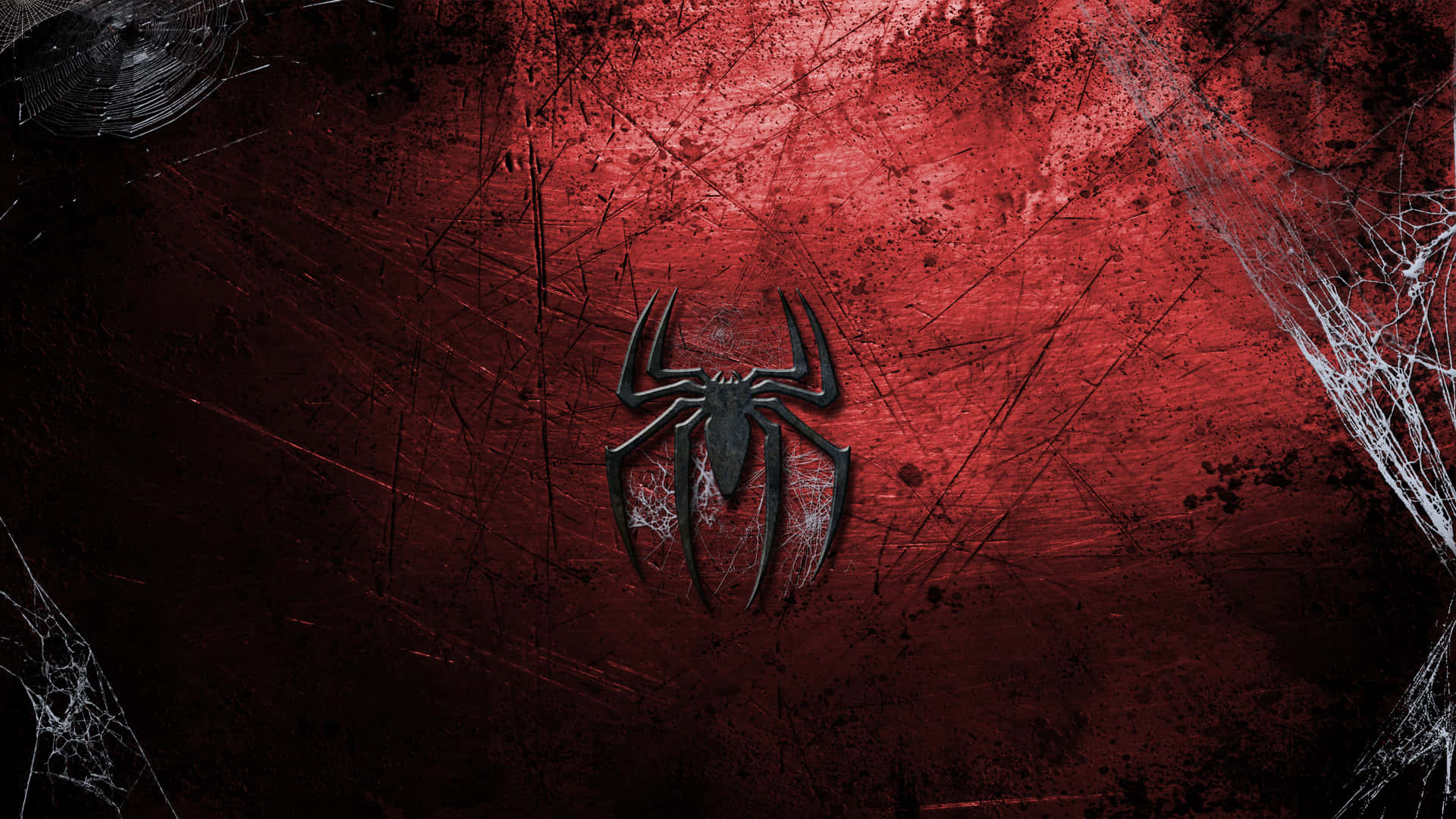 Spider-man Logo Fondos De Pantalla Background