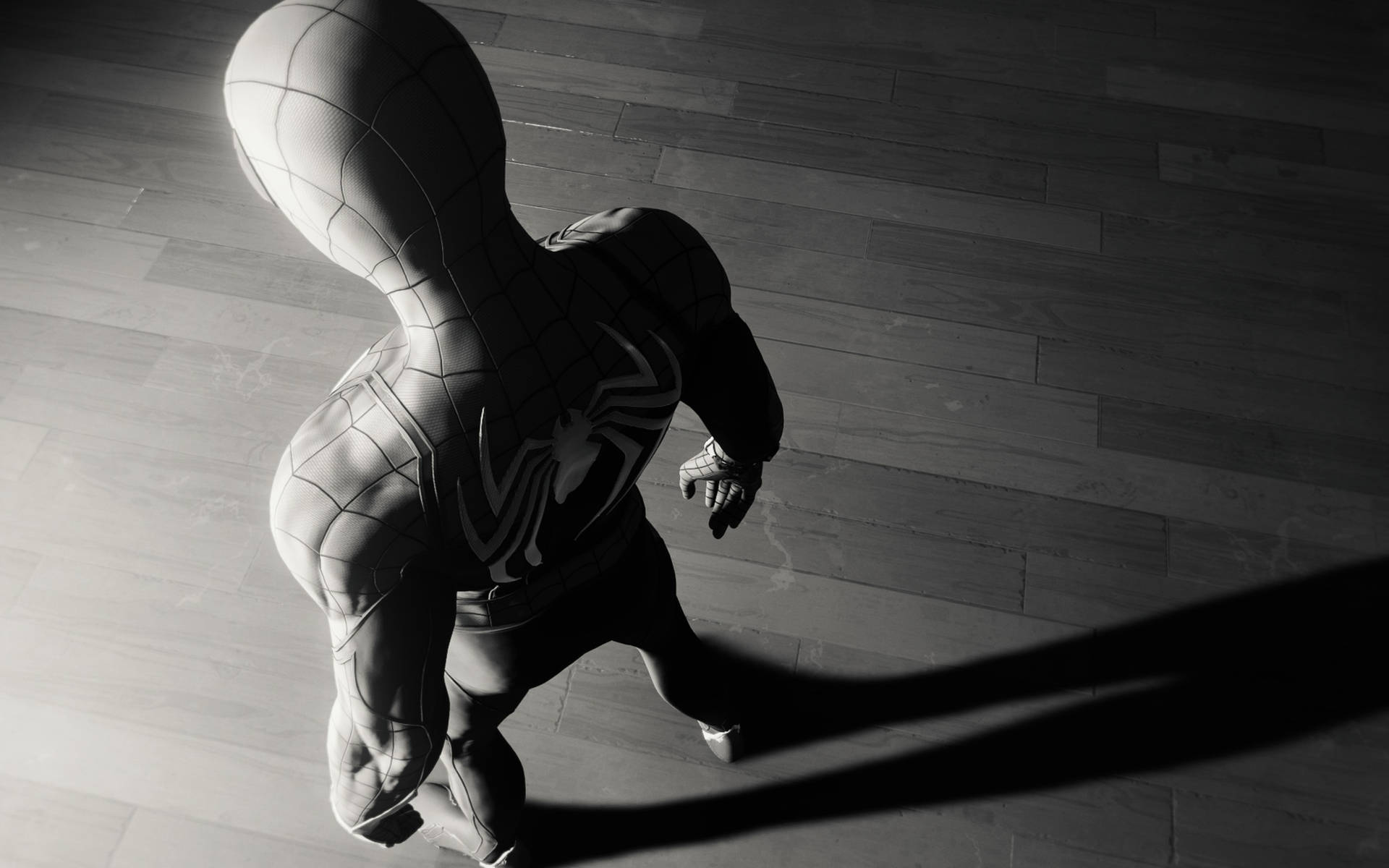 Spider Man White And Black Chiaroscuro Background