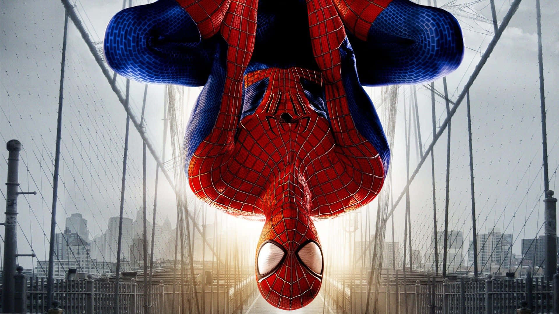 Spider Man Working On His Computer Background