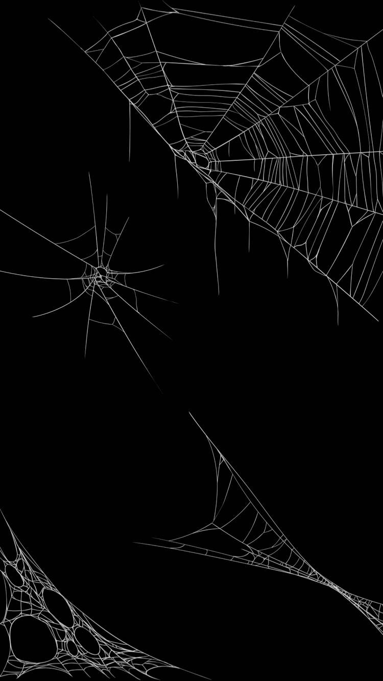 Spider Webs On Black Background