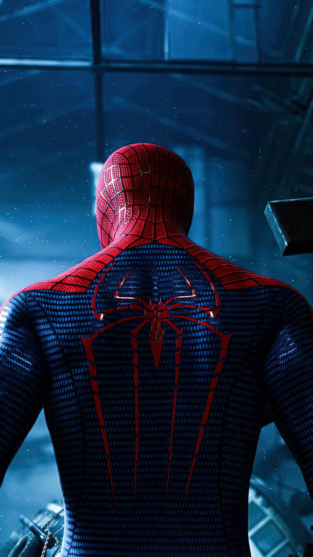 Spiderman Back Hd Phone Background