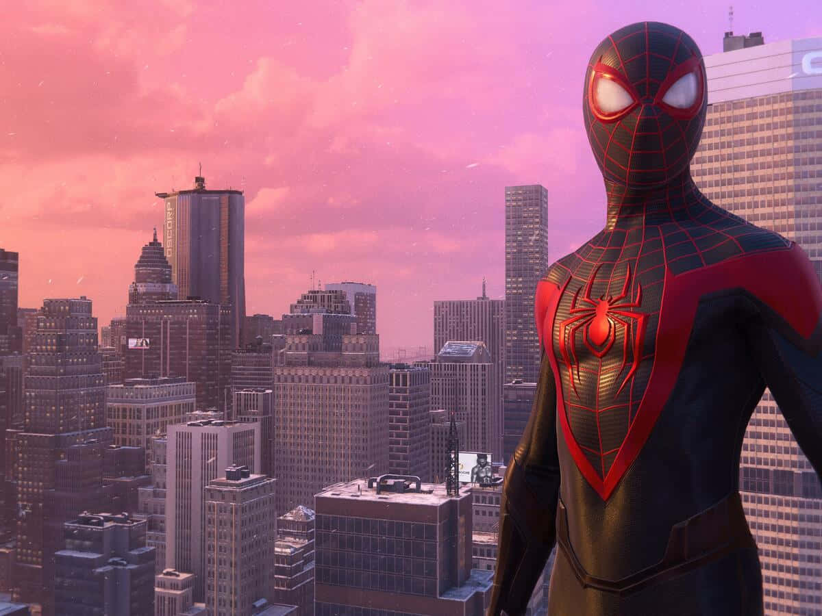 Spiderman Pfp Above The City Background
