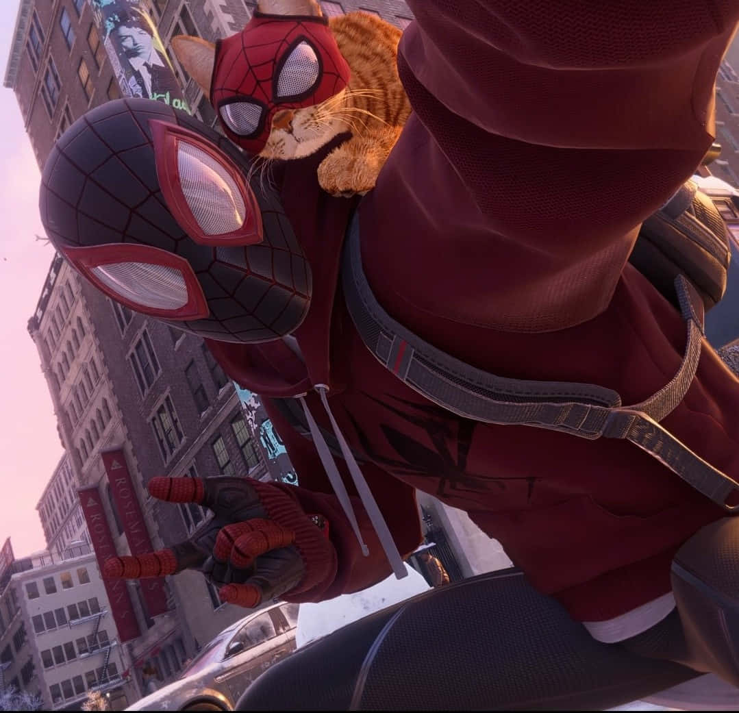 Spidey Selfie Man With Cat Background