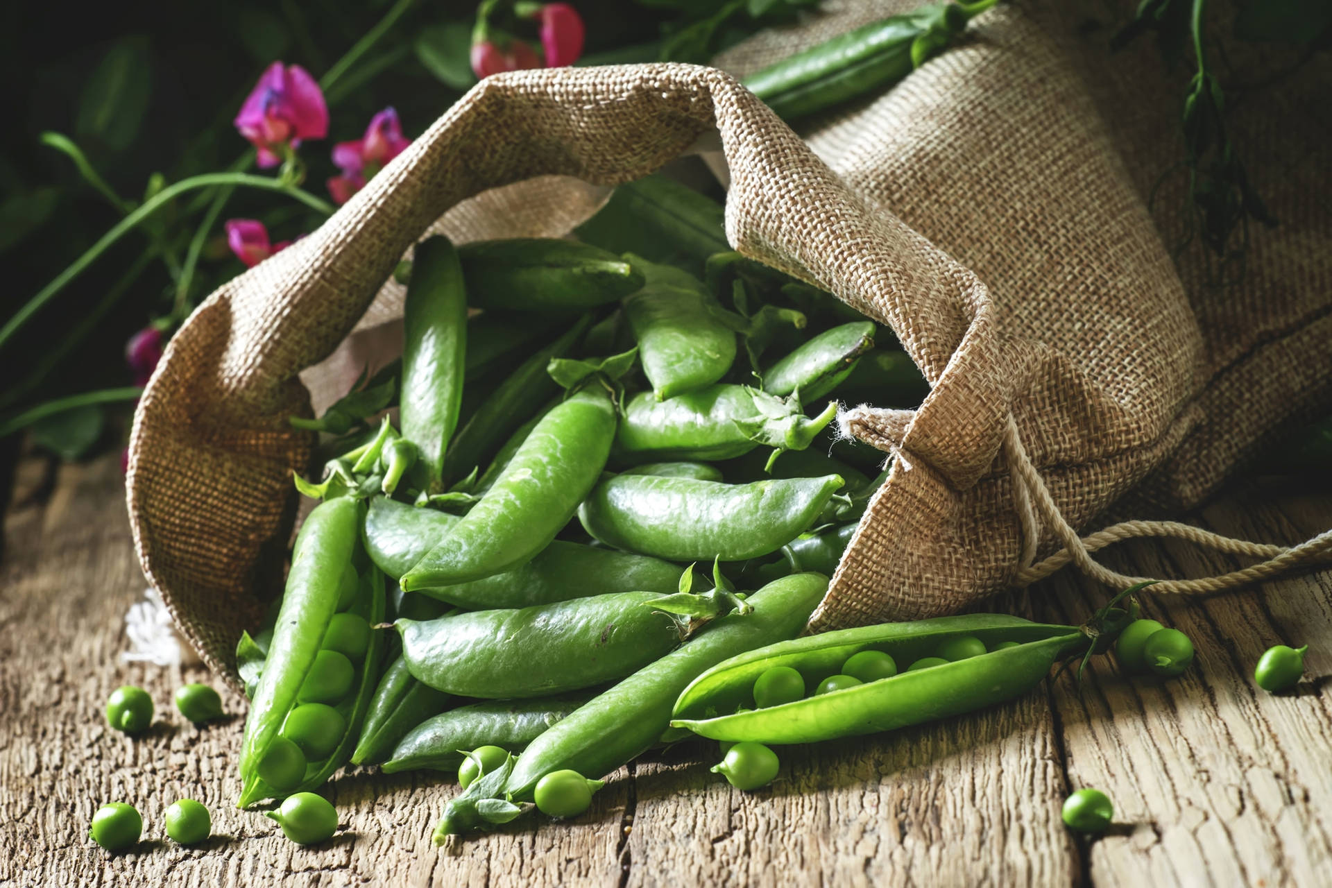 Spilling Vegetable Green Peas Pods Sack Background