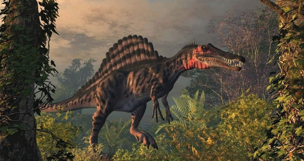 Spinosaurus In The Forest Background