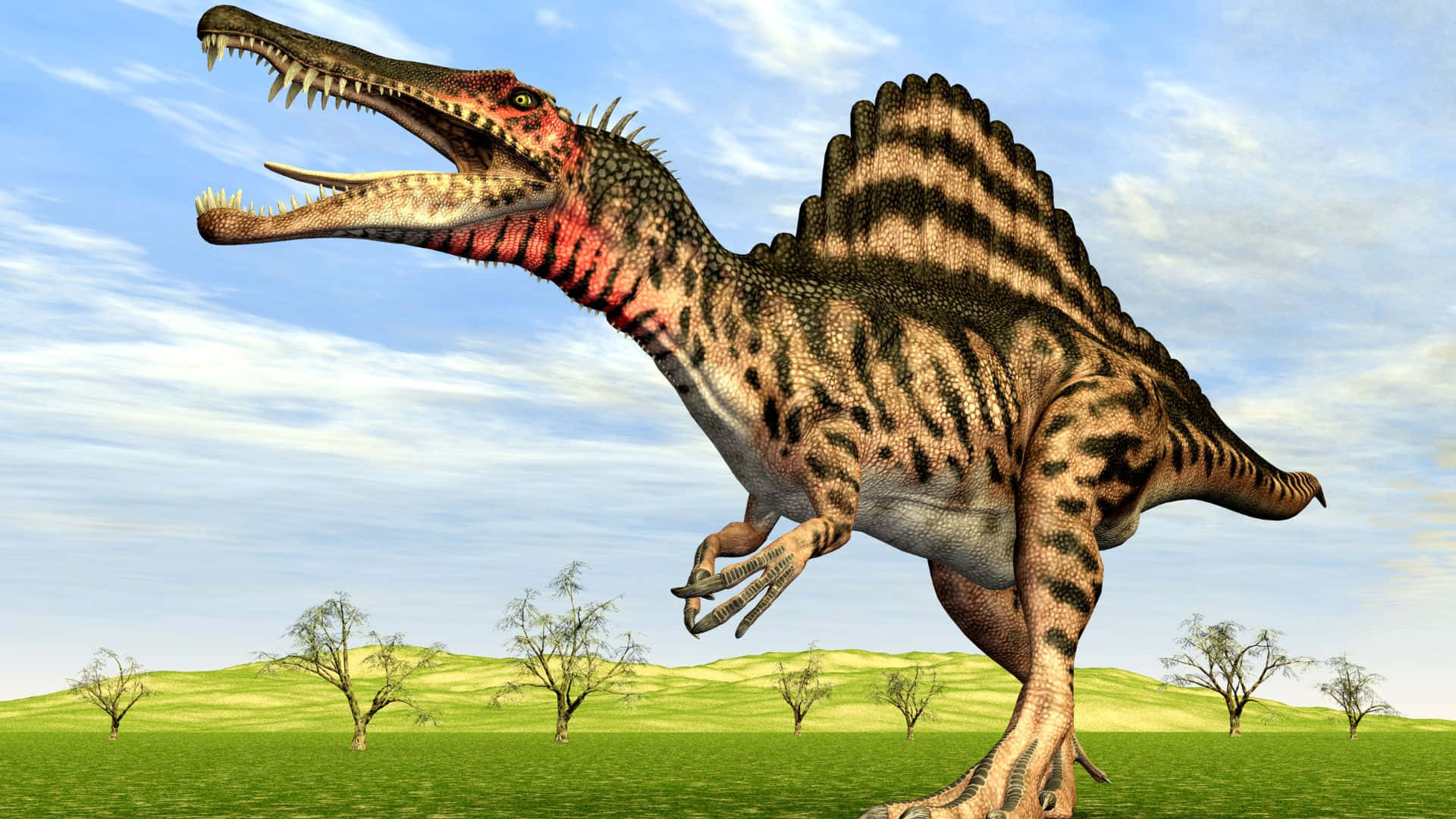 “spinosaurus: The Largest Predatory Dinosaur Ever Found”