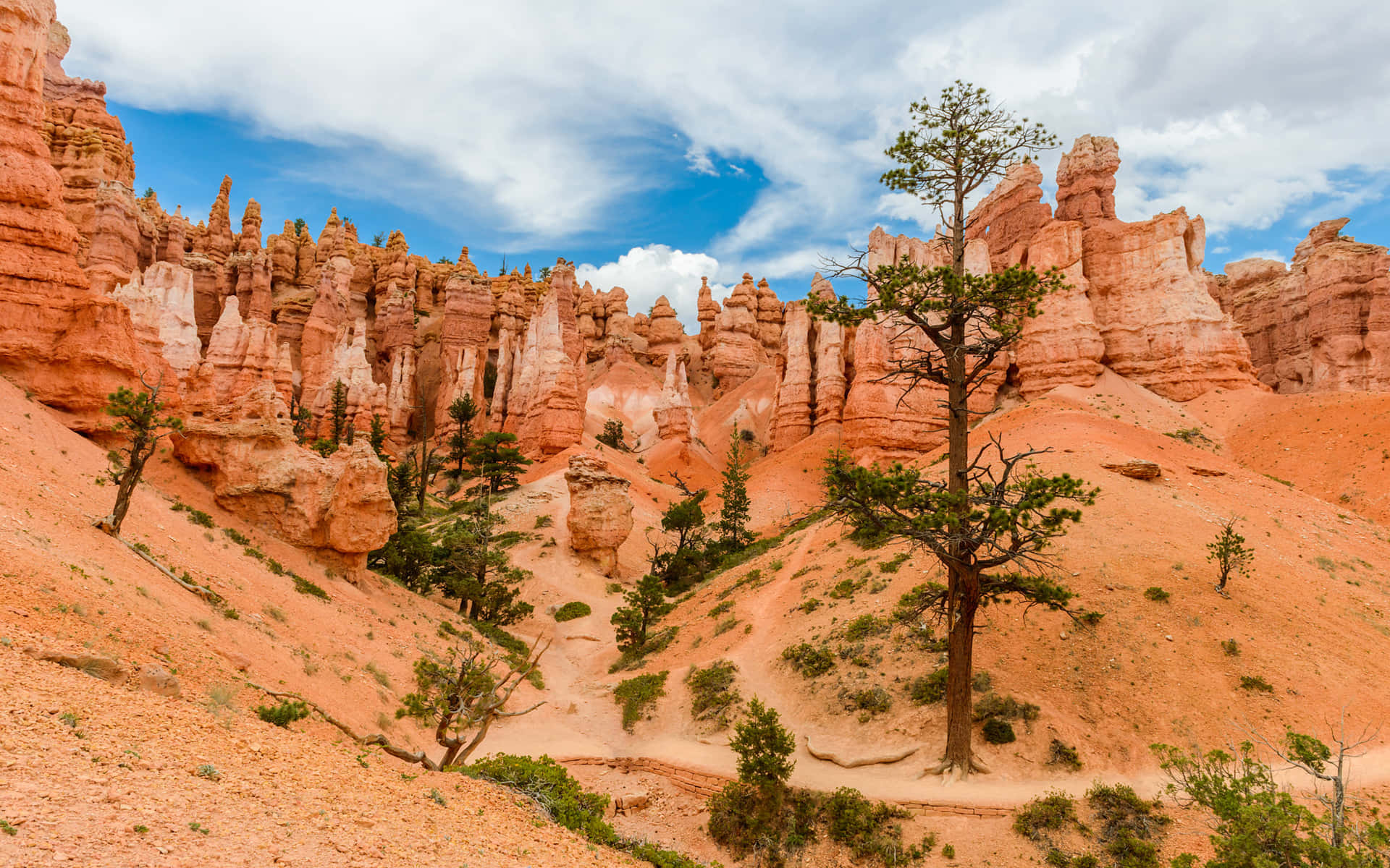 Spire Like Rock Formations Bryce Canyon National Park Background