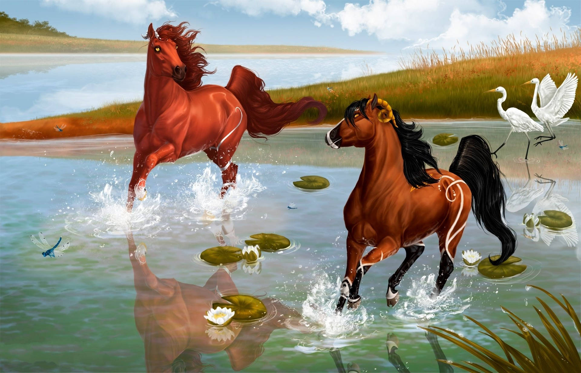 Spirit Stallion Of The Cimarron Horses Galooping On Water