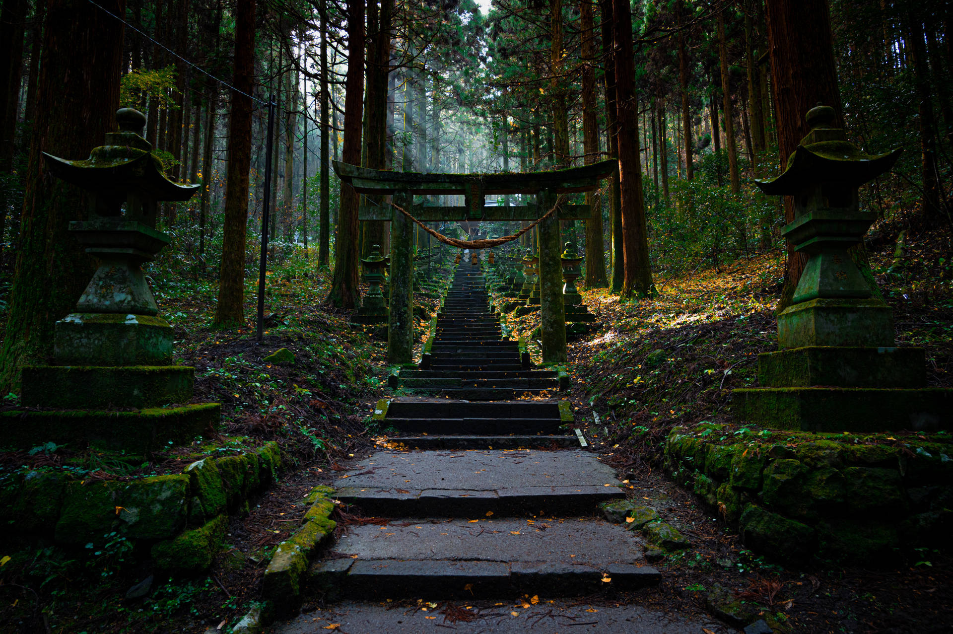 Spiritual Torii In Forest Background