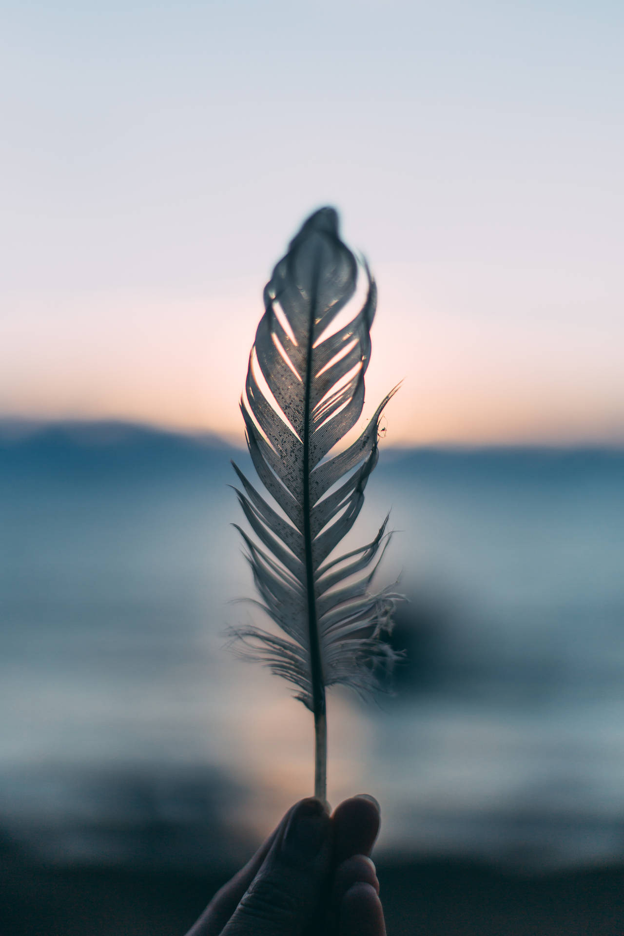 Spiritual White Feather Background