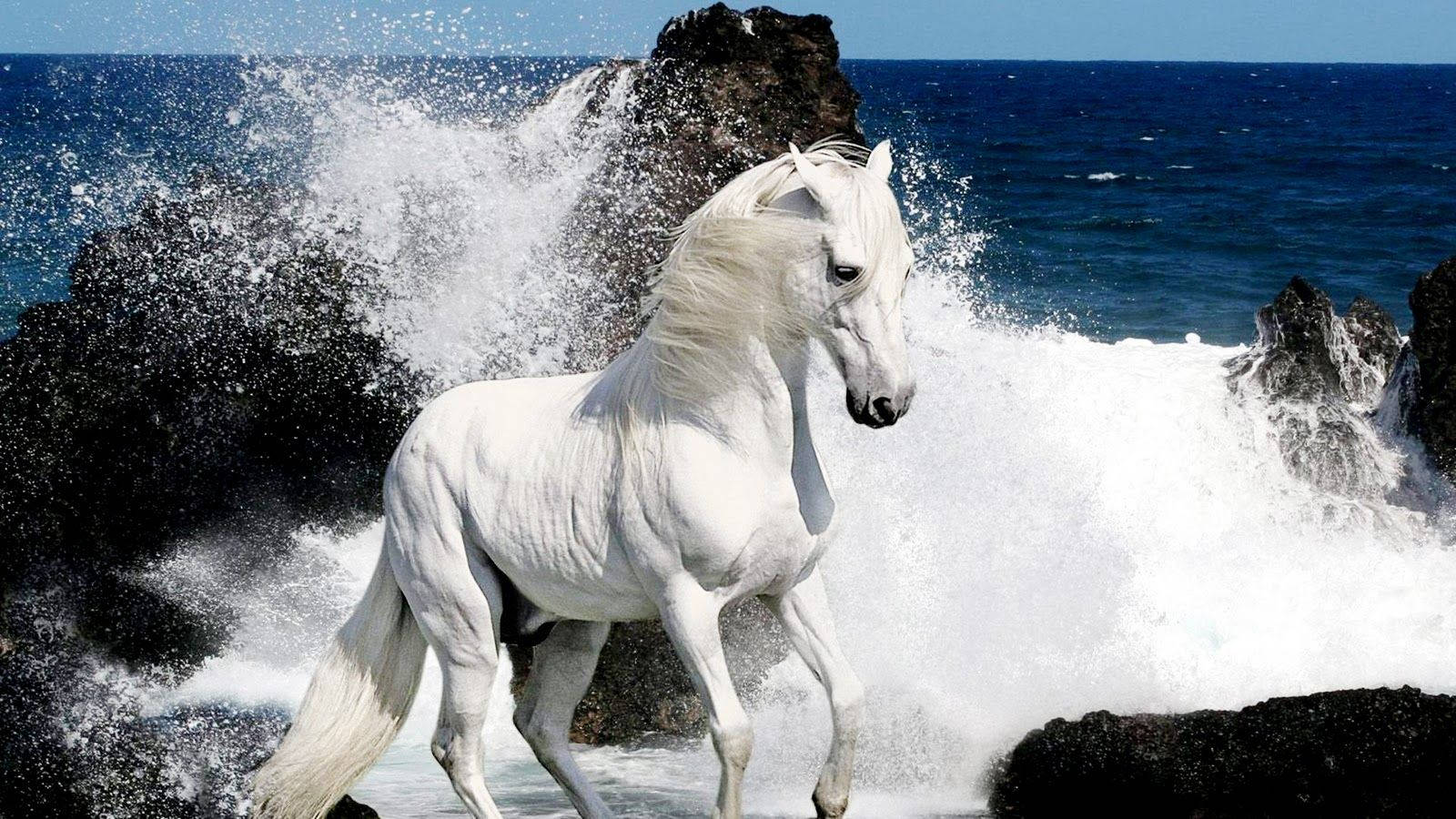 Splashing Waves On White Horse