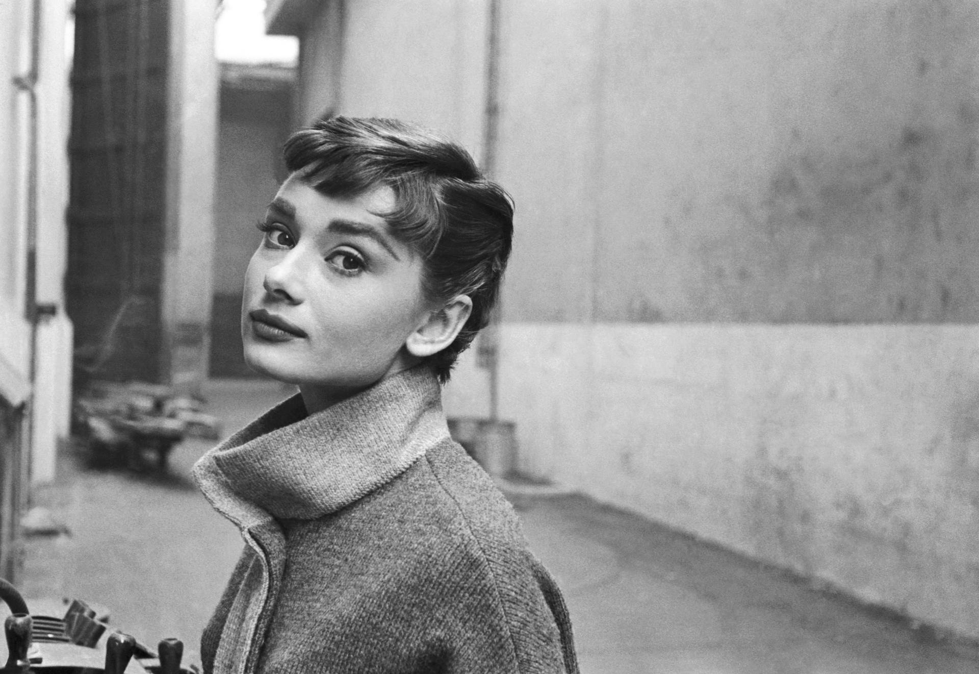 Splendid Audrey Hepburn Greyscale Background