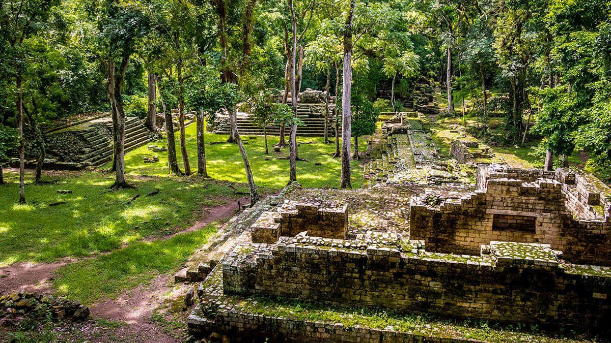 Splendid View Of The Ancient Mayan Ruins Of Copan Background