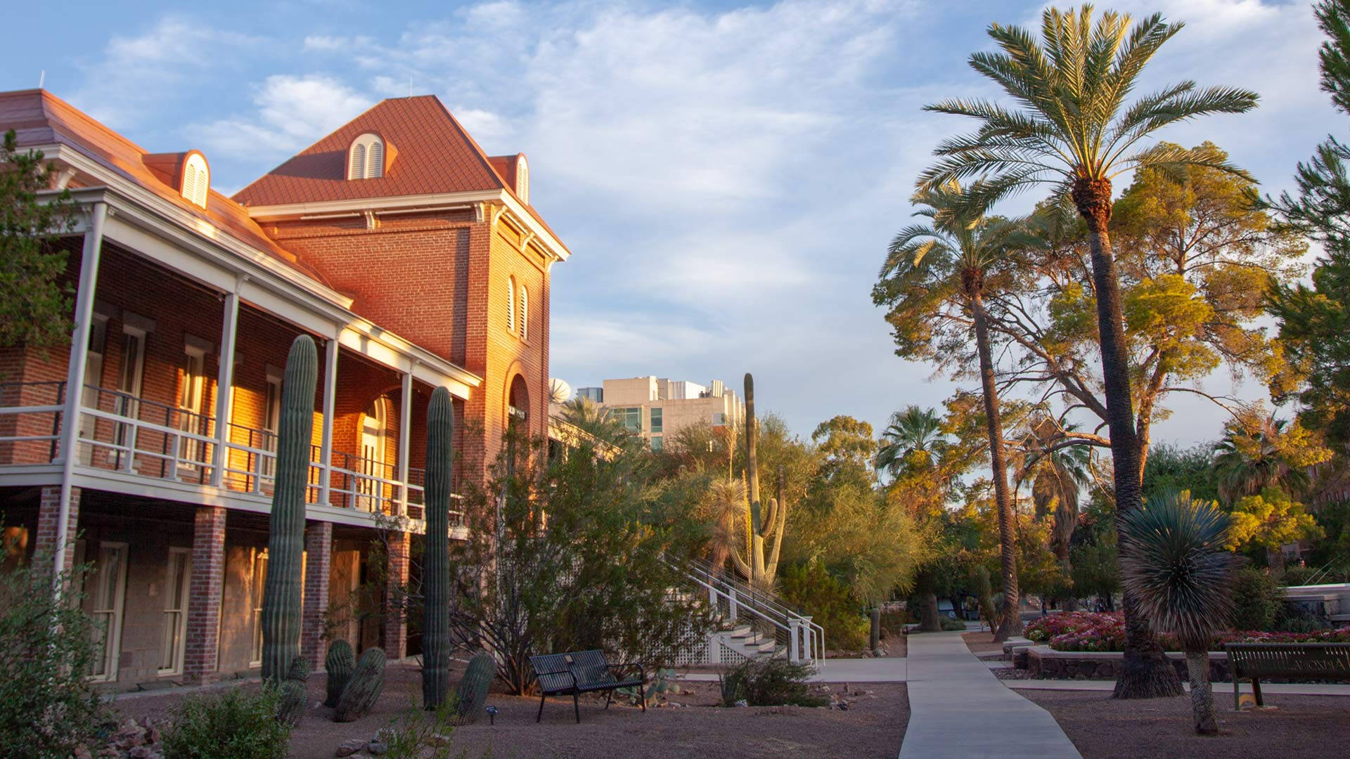 Splendid View Of The University Of Arizona From The Balcony Background