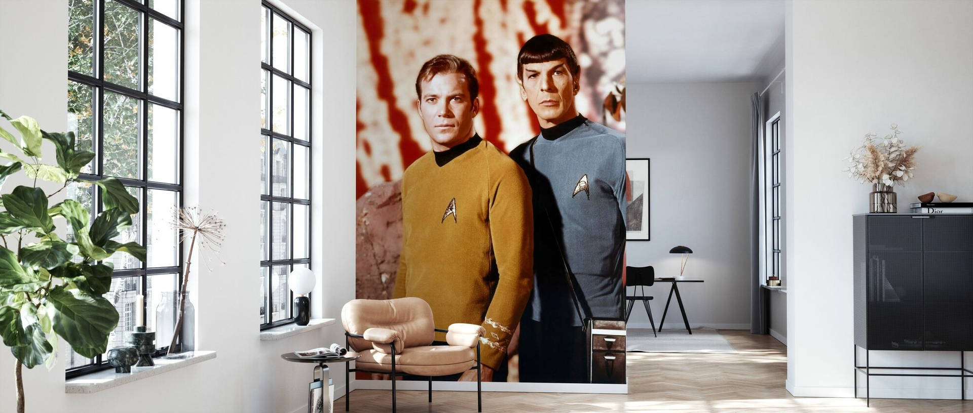 Spock And Captain Kirk Background