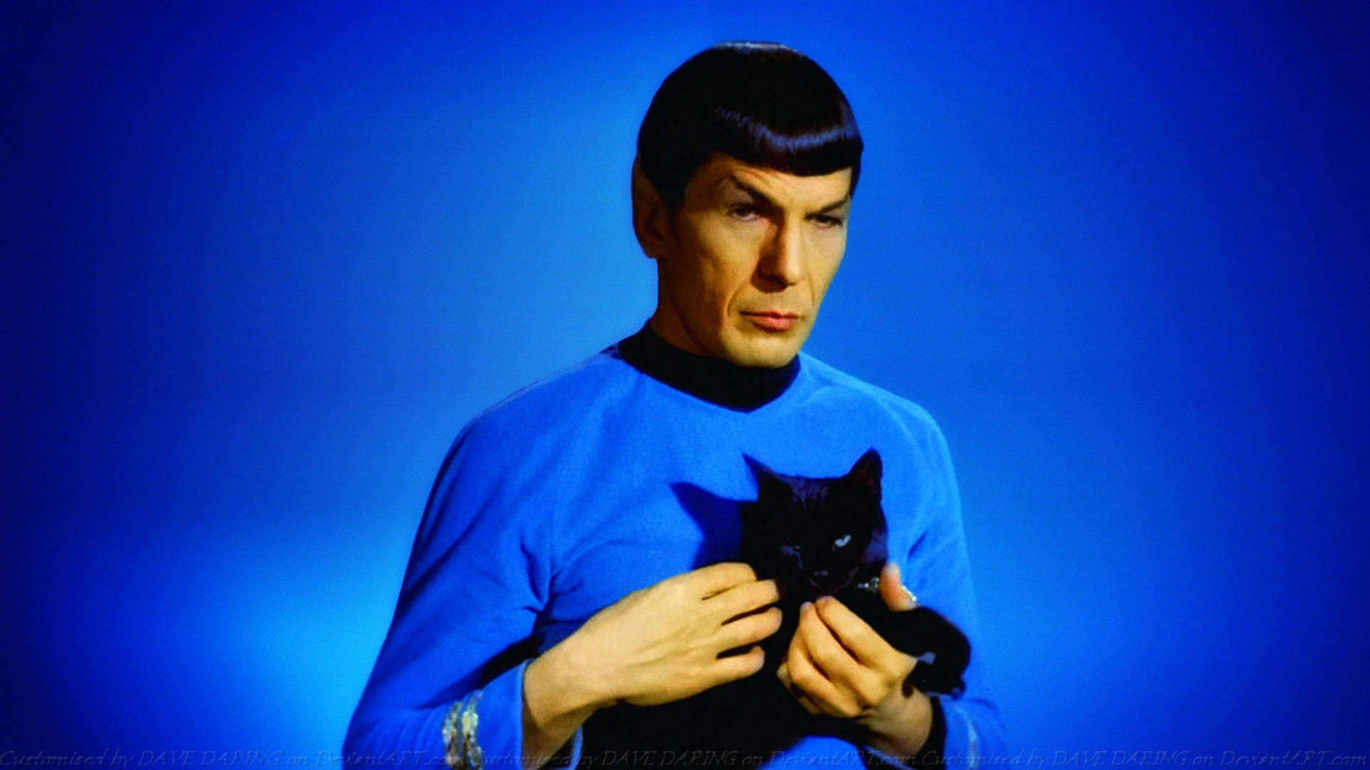 Spock With Black Cat Background