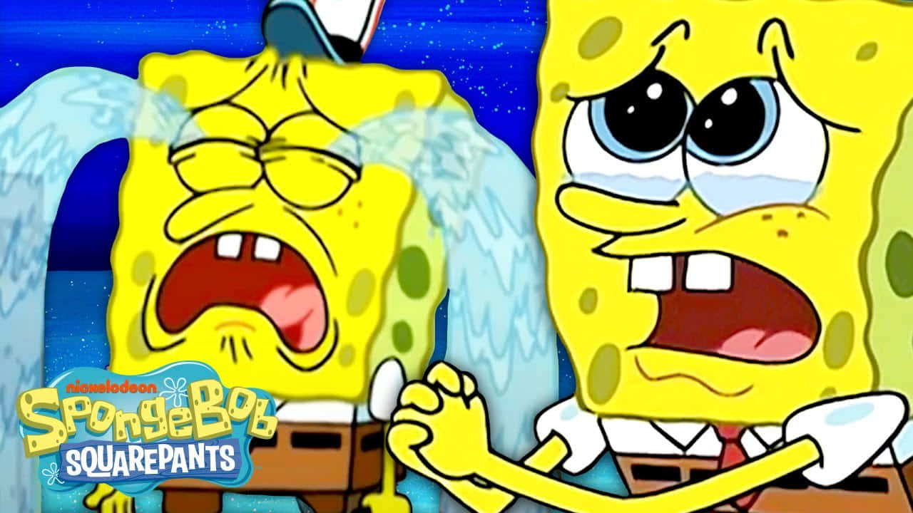 Spongebob Crying And Begging Background
