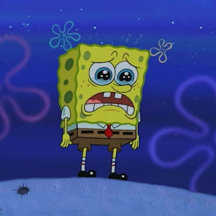 Spongebob Crying And Looking Down