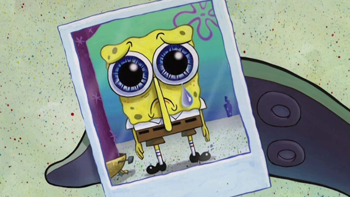 Spongebob Crying In Polaroid Background