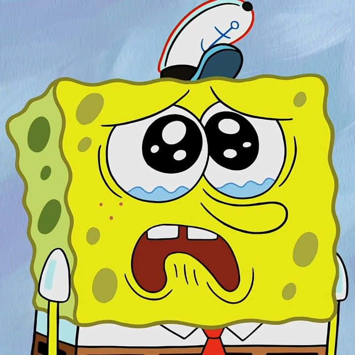 Spongebob Crying Wearing A Sailor Hat Background