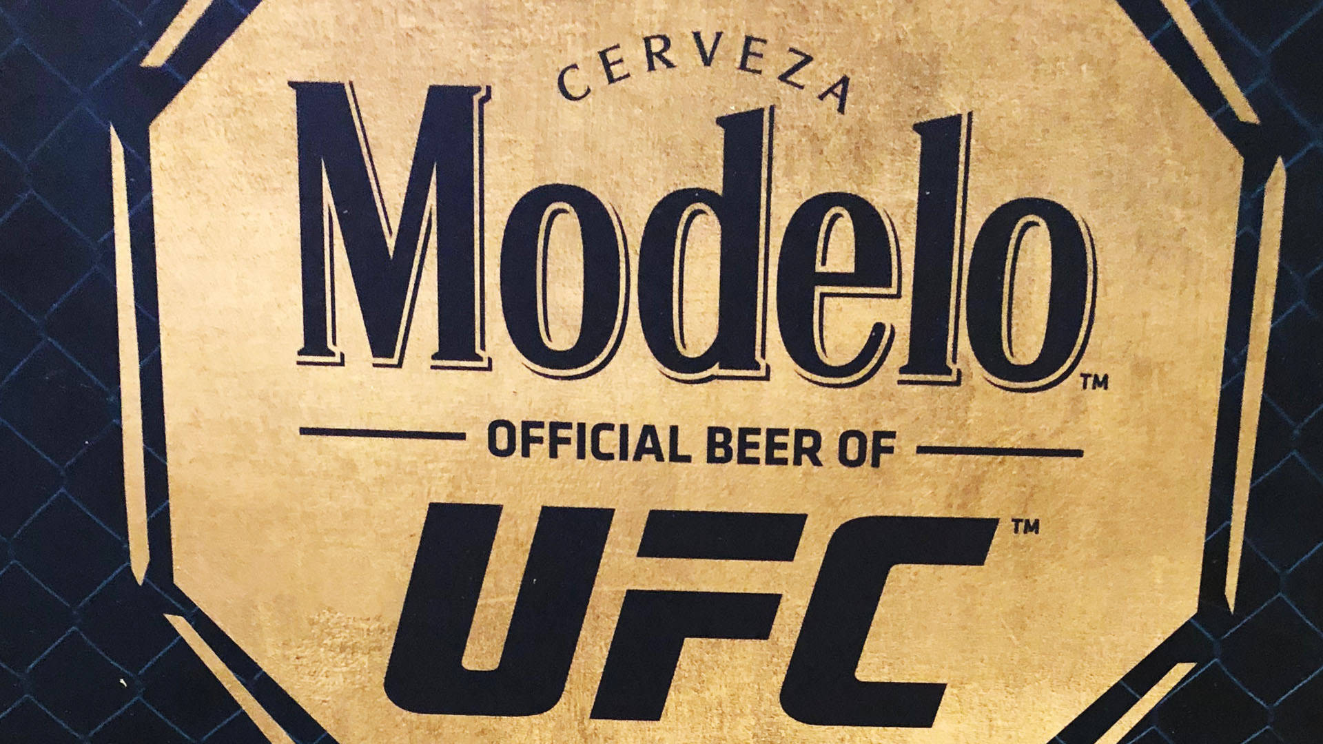 Sponsorship Banner Of Ufc For Modelo Especial