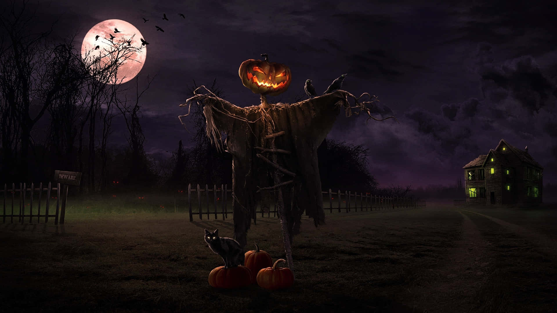 Spook Up Your Laptop In Time For Halloween Background