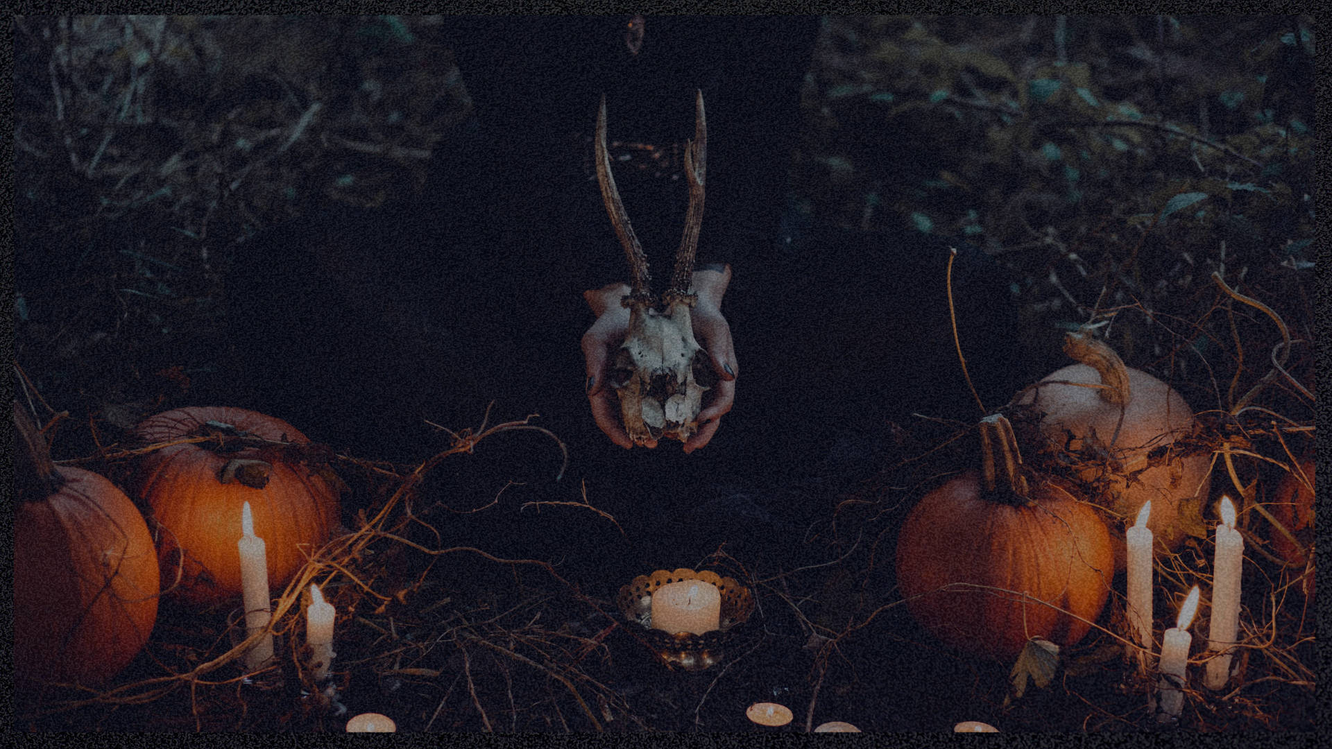 Spooky Aesthetic Animal Skull Ritual Background