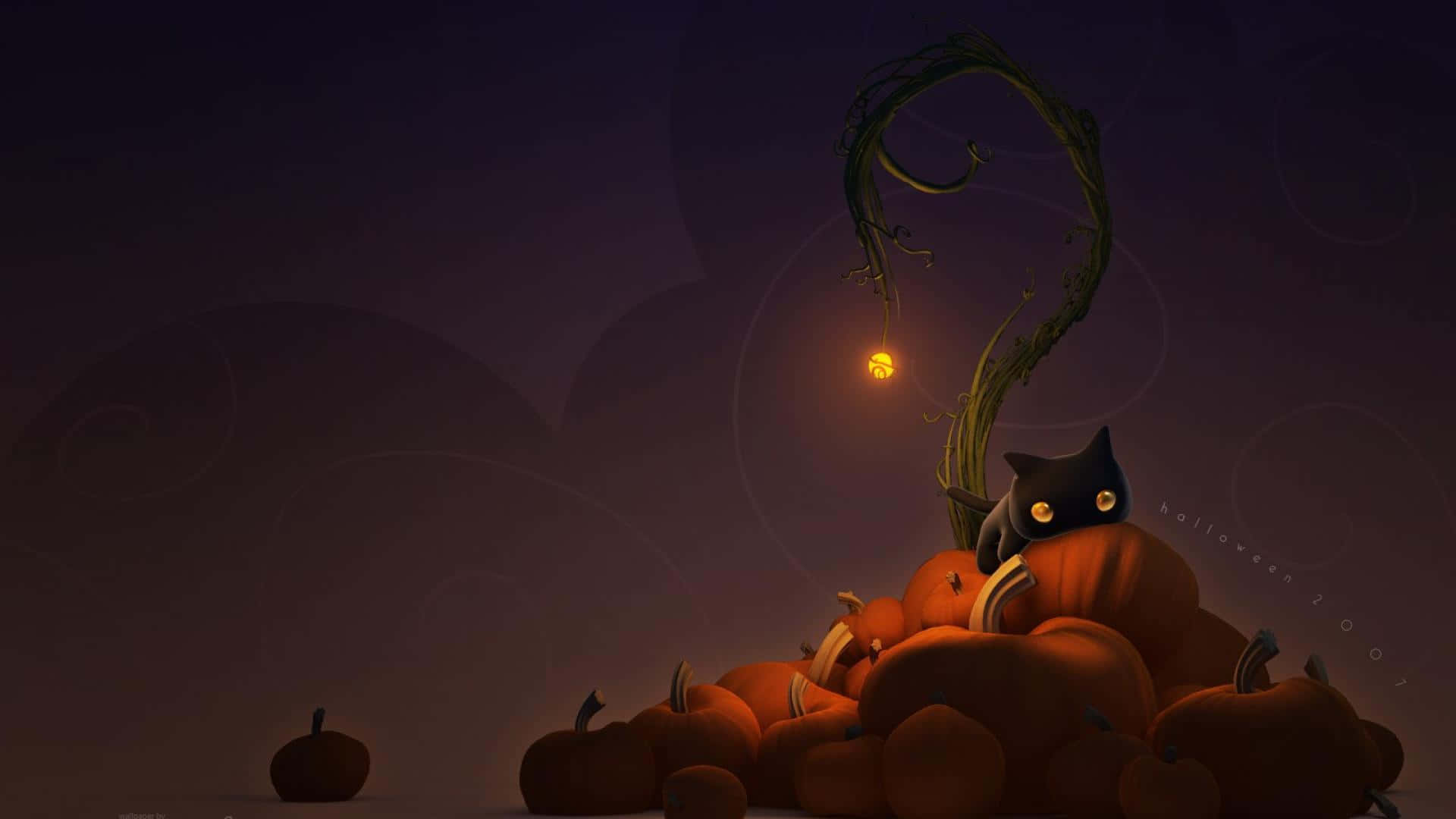 Spooky Black Cat Enjoying A Night Of Halloween Fun