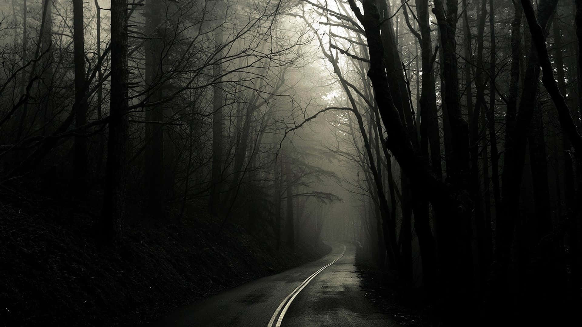 Spooky Dark Forest Desktop Background