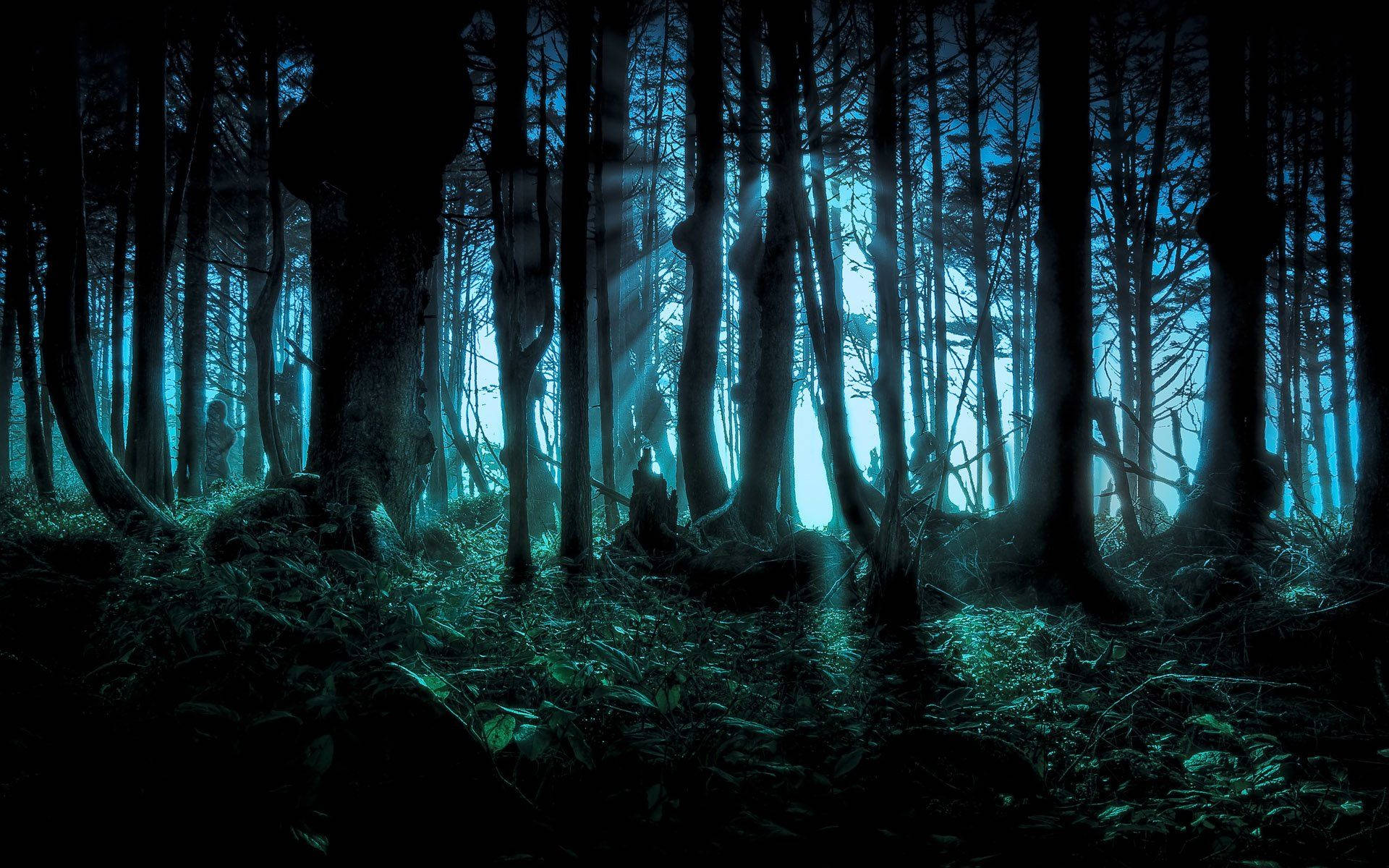Spooky Dark Forest Background