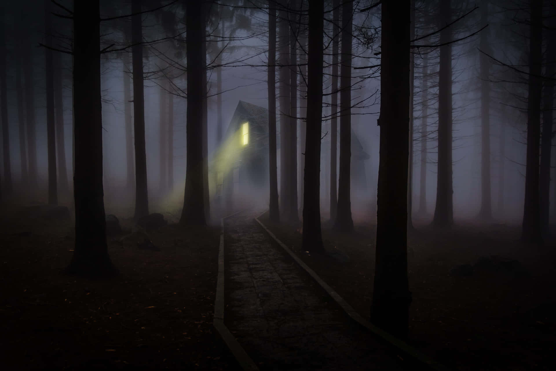 Spooky Forest Desktop Background