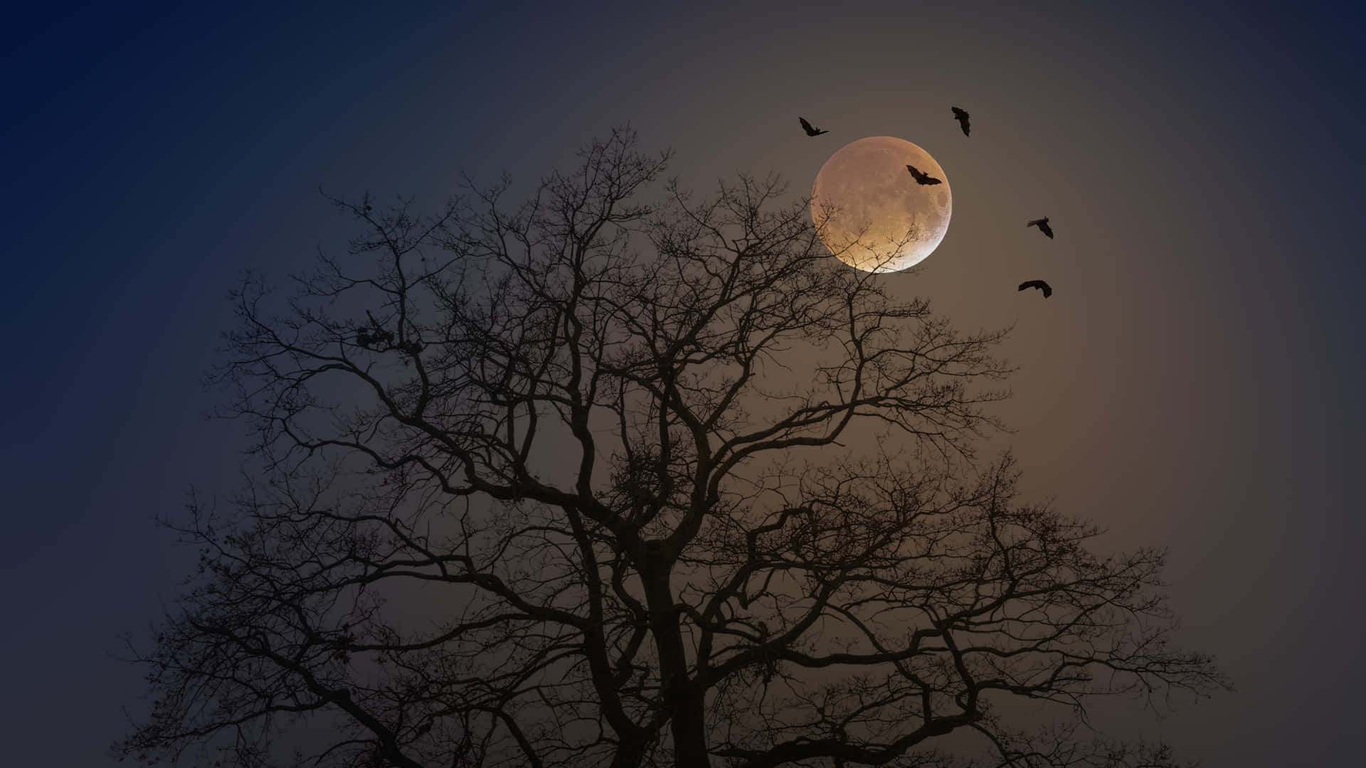 Spooky Full Moon Desktop Background