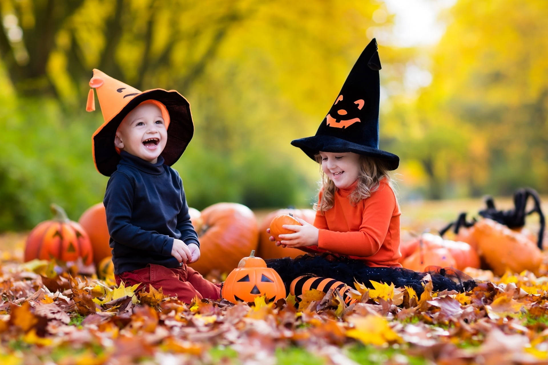 Spooky Fun With Halloween Desktop Wallpaper